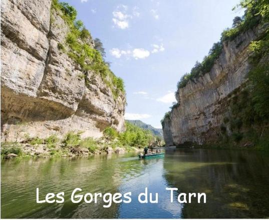 Chambre Au Calme Avec Spa Privatif Gratuit Sud Aveyron Les Palmiers Des Causses Saint-Rome-de-Tarn ภายนอก รูปภาพ